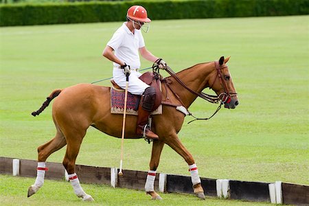 simsearch:625-01039739,k - Profil de côté d'un homme jouant polo Photographie de stock - Premium Libres de Droits, Code: 625-01744893