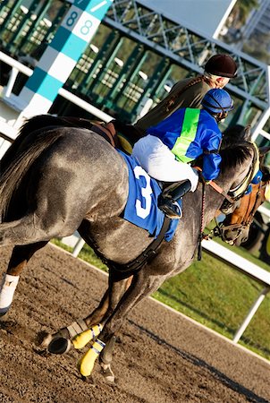 starttor - Rückansicht von zwei Jockeys Reiten Rennpferde auf einer Pferderennbahn Stockbilder - Premium RF Lizenzfrei, Bildnummer: 625-01744947