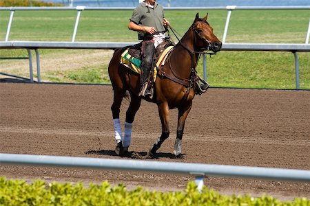 Side profile of a jockey riding a horse in a horse race Foto de stock - Sin royalties Premium, Código: 625-01744967