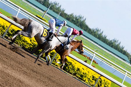 Side profile of two jockeys riding horses in a horse race Foto de stock - Royalty Free Premium, Número: 625-01744971