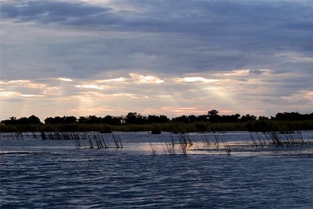 Clouds over a swamp, Okavango Delta, Botswana Foto de stock - Sin royalties Premium, Código: 625-01745605