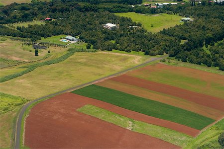 High angle view of a landscape, Hilo, Big Island, Hawaii Islands, USA Foto de stock - Sin royalties Premium, Código: 625-01745713