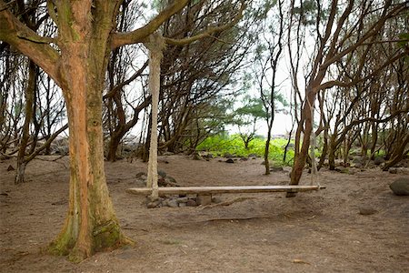 simsearch:625-01745745,k - Swing in a forest, Pololu Valley, Kohala, Big Island, Hawaii Islands, USA Foto de stock - Royalty Free Premium, Número: 625-01745728