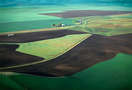 Contour plowing of green winter wheat and lentil fields Stock Photo - Premium Royalty-Free, Code: 625-01745866