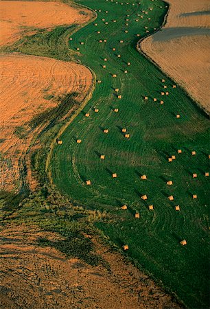 simsearch:625-01745967,k - Aerial view of hay fields, Washington state Foto de stock - Sin royalties Premium, Código: 625-01745867