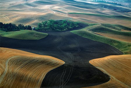 Aerial view of contour plowed fields, Washington state Stock Photo - Premium Royalty-Free, Code: 625-01745875