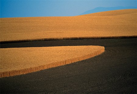 Contour plowed fields of golden wheat, Washington state Stock Photo - Premium Royalty-Free, Code: 625-01745871