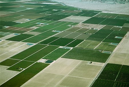 simsearch:625-01745887,k - Desert agriculture, Imperial Valley, California Fotografie stock - Premium Royalty-Free, Codice: 625-01745887