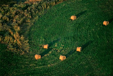 simsearch:625-01745887,k - Aerial view of hay fields, Washington state Fotografie stock - Premium Royalty-Free, Codice: 625-01745888