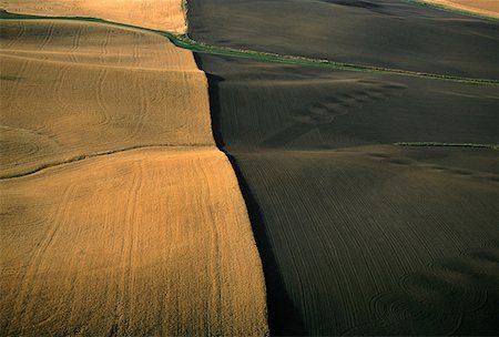 Contour plowed fields of golden wheat, Washington state Stock Photo - Premium Royalty-Free, Code: 625-01745883