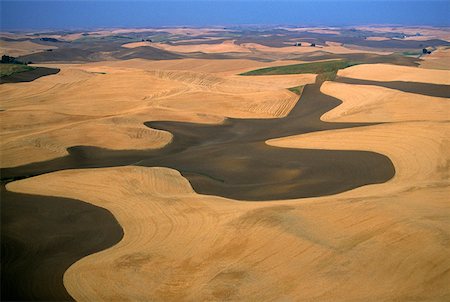 simsearch:625-01745887,k - Aerial view of contour plowed fields, Washington state Fotografie stock - Premium Royalty-Free, Codice: 625-01745895