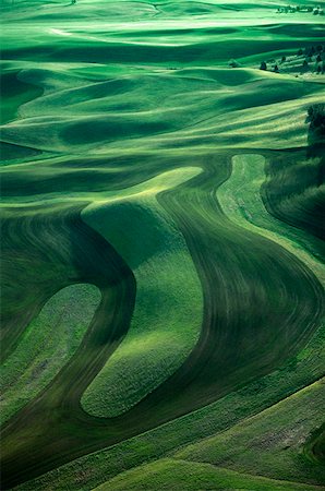 Contour plowing of green winter wheat and lentil fields Stock Photo - Premium Royalty-Free, Code: 625-01745890