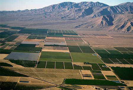 simsearch:625-01745887,k - Desert agriculture, Imperial Valley, California Fotografie stock - Premium Royalty-Free, Codice: 625-01745891