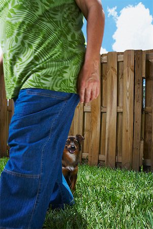 Mid section view of a senior woman walking in a lawn with a dog sitting in the background Stock Photo - Premium Royalty-Free, Code: 625-01746523