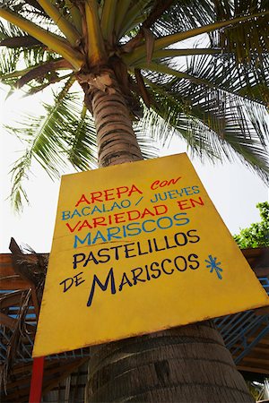 Low angle view of an information board on a Palm tree, Puerto Rico Stock Photo - Premium Royalty-Free, Code: 625-01746661