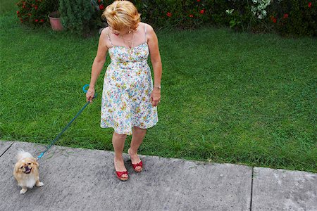 family dog lifestyle - High angle view of a senior woman standing with a dog in a lawn Foto de stock - Sin royalties Premium, Código: 625-01746911