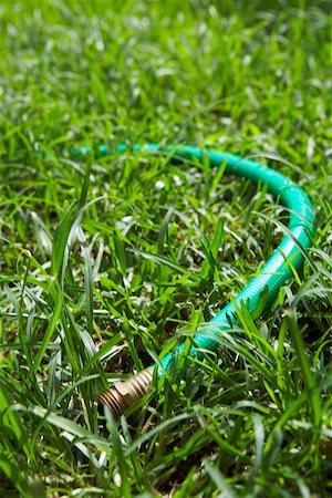 Water hose on grass in a backyard Foto de stock - Sin royalties Premium, Código: 625-01747059