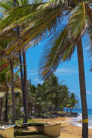 simsearch:625-01098257,k - Catamaran tied up with Palm trees on the beach, Luquillo Beach, Puerto Rico Foto de stock - Sin royalties Premium, Código: 625-01747341