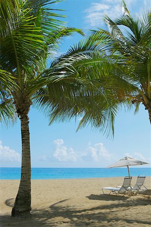 san juan - Lounge-Stühlen unter Patio Sonnenschirme am Strand, Ocean Park, El Condado, San Juan, Puerto Rico Stockbilder - Premium RF Lizenzfrei, Bildnummer: 625-01747416