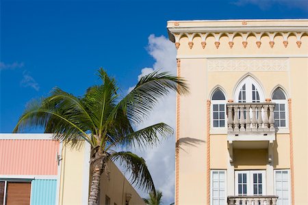 simsearch:625-01749797,k - Low angle view of a palm tree in front of buildings, South Beach, Miami Beach, Florida, USA Stock Photo - Premium Royalty-Free, Code: 625-01749586