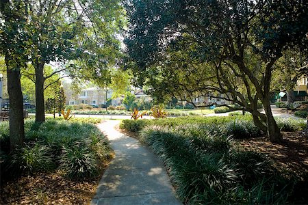 Trees in a park, Lake Eola Park, Orlando, Florida, USA Stock Photo - Premium Royalty-Free, Code: 625-01749664