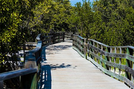 florida keys - Boardwalk in the forest, Tropical Hardwood Hammock, Florida Keys, Florida, USA Stock Photo - Premium Royalty-Free, Code: 625-01749723