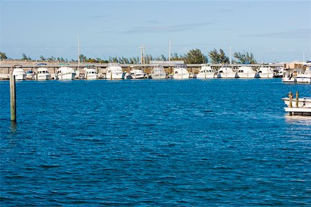 Boats moored at a dock, Garrison Bight Marina, Key West, Florida, USA Stock Photo - Premium Royalty-Free, Code: 625-01749745