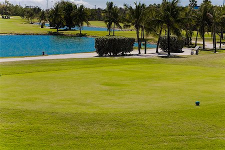 Lake in a golf course, Key West, Florida, USA Foto de stock - Sin royalties Premium, Código: 625-01749743