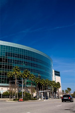 Palm trees in front of a shopping mall, Tampa Bay Center, Tampa, Florida, USA Stock Photo - Premium Royalty-Free, Code: 625-01749843