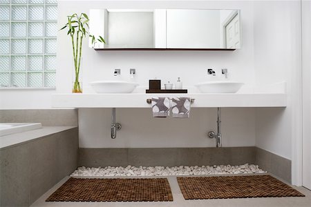 plant bathroom - Interiors of a bathroom Stock Photo - Premium Royalty-Free, Code: 625-01743546