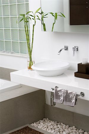 plant bathroom - Interiors of a bathroom Stock Photo - Premium Royalty-Free, Code: 625-01743568