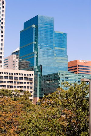 Arbres en face des bâtiments, Baltimore, Maryland, USA Photographie de stock - Premium Libres de Droits, Code: 625-01750082