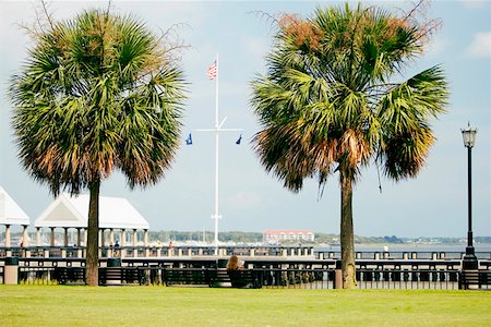 river south carolina - Palm trees in a park, Waterfront Park, Cooper River, Charleston, South Carolina, USA Stock Photo - Premium Royalty-Free, Code: 625-01750121