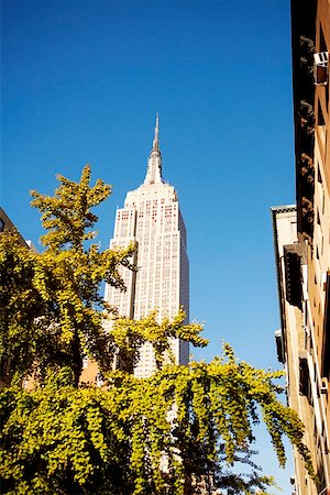 simsearch:625-01750194,k - Low angle view of a building, Empire State Building, Manhattan, New York City, New York State, USA Foto de stock - Sin royalties Premium, Código: 625-01750244