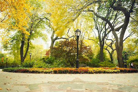 Lamppost under a tree in a park, Central Park, Manhattan, New York City, New York State, USA Foto de stock - Sin royalties Premium, Código: 625-01750314