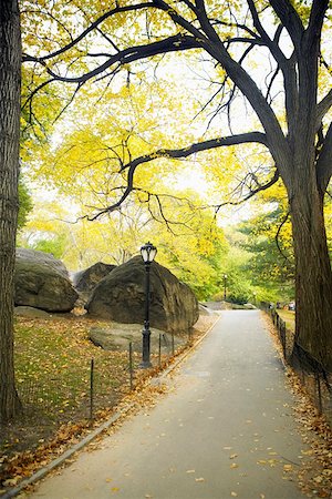 Arbres dans un parc, Central Park, Manhattan, New York City, état de New York, USA Photographie de stock - Premium Libres de Droits, Code: 625-01750310