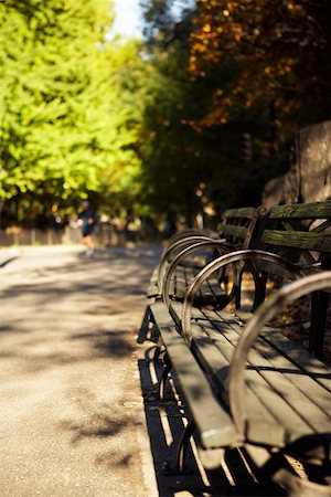 Bench in a park, Central Park, Manhattan, New York City, New York State, USA Foto de stock - Sin royalties Premium, Código: 625-01750329