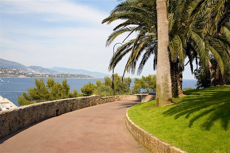 Palmiers le long d'une allée, Monte Carlo, Monaco Photographie de stock - Premium Libres de Droits, Code: 625-01750433