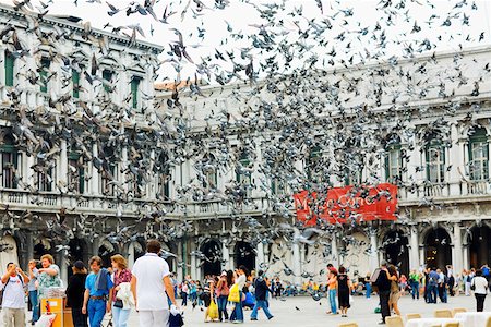 Pigeons flying in front of a building, St. Mark's Square, Venice, Italy Stock Photo - Premium Royalty-Free, Code: 625-01750727