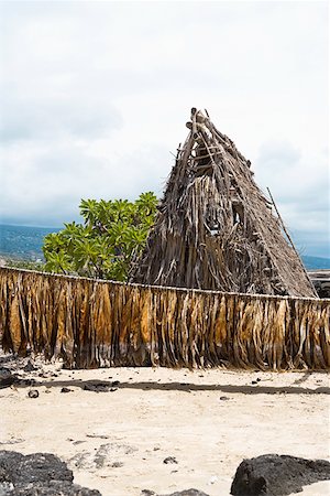Tobacco leaves drying in front of a hut, Kona, Big Island, Hawaii Islands, USA Stock Photo - Premium Royalty-Free, Code: 625-01750888