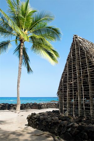 pic palm tree beach big island - Refuge sur les îles de plage, Puuhonua O Honaunau National Historical Park côte Kona, Big Island, Hawaii, USA Photographie de stock - Premium Libres de Droits, Code: 625-01750928