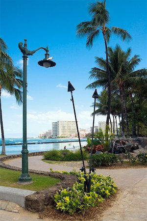 simsearch:625-01751232,k - Palm trees along a path, Waikiki Beach, Honolulu, Oahu, Hawaii Islands, USA Foto de stock - Sin royalties Premium, Código: 625-01750959