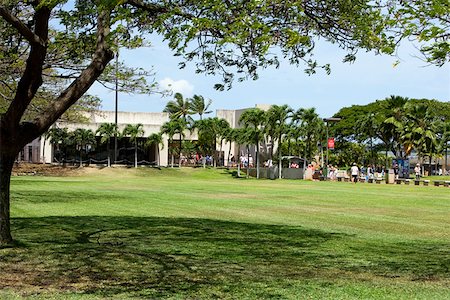 simsearch:625-01751232,k - Palm trees in front of a building Pearl Harbor, Honolulu, Oahu, Hawaii Islands, USA Foto de stock - Sin royalties Premium, Código: 625-01751049