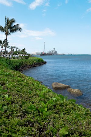 simsearch:625-01751116,k - Palm trees on the coast, Pearl Harbor, Honolulu, Oahu, Hawaii Islands, USA Stock Photo - Premium Royalty-Free, Code: 625-01751087
