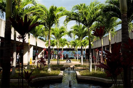 simsearch:625-01751232,k - Palm trees on the courtyard of a building, Pearl Harbor, Honolulu, Oahu, Hawaii Islands, USA Foto de stock - Sin royalties Premium, Código: 625-01751098