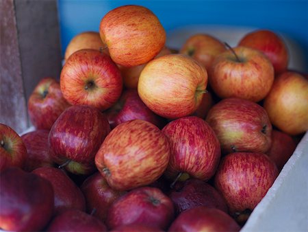 simsearch:625-01751908,k - Close-up of a heap of apples in a fruit carton, Providencia, Providencia y Santa Catalina, San Andres y Providencia Department, Foto de stock - Royalty Free Premium, Número: 625-01751510