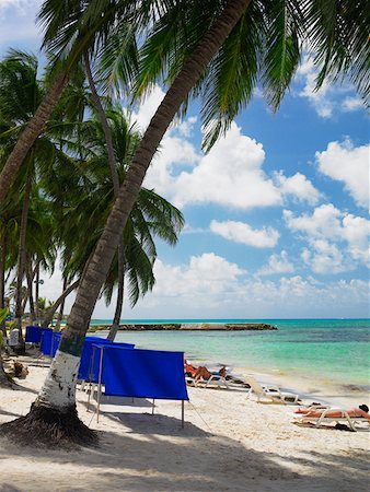 san andres - Tourists sunbathing on the beach, Spratt Bight Beach, San Andres, Providencia y Santa Catalina, San Andres y Providencia Department, Fotografie stock - Premium Royalty-Free, Codice: 625-01751526