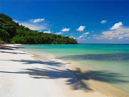 simsearch:625-01094251,k - Shadow of trees on the beach, Providencia, Providencia y Santa Catalina, San Andres y Providencia Department, Colombia Fotografie stock - Premium Royalty-Free, Codice: 625-01751521