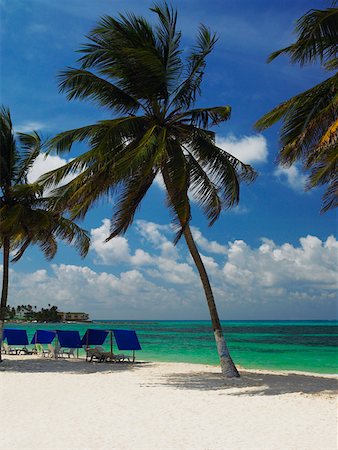 san andres - Tents and chairs on the beach, Spratt Bight Beach, San Andres, Providencia y Santa Catalina, San Andres y Providencia Department, Fotografie stock - Premium Royalty-Free, Codice: 625-01751537