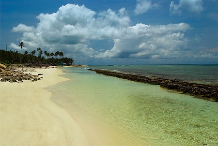 san andres - Panoramic view of a beach, San Andres, Providencia y Santa Catalina, San Andres y Providencia Department, Colombia Fotografie stock - Premium Royalty-Free, Codice: 625-01751539